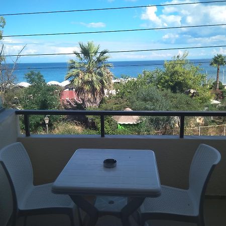 Zante Vero المظهر الخارجي الصورة